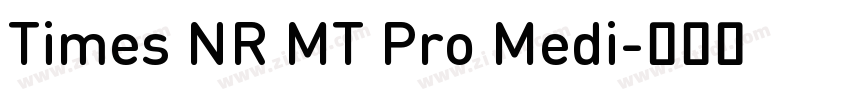 Times NR MT Pro Medi字体转换